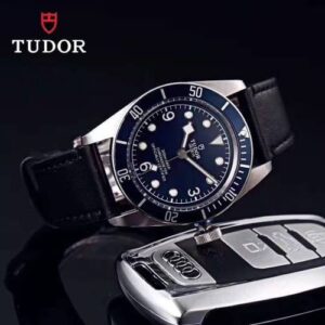 TUDOR - 15
